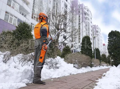 Кронирование деревьев в Екатеринбурге | «Арис» - промышленные альпинисты