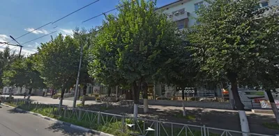Спил и кронирование деревьев с автовышки в Пятигорске | Горзеленстрой  Пятигорск