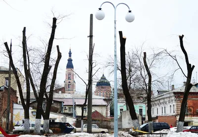 Кронирование деревьев — УК-Прикамье