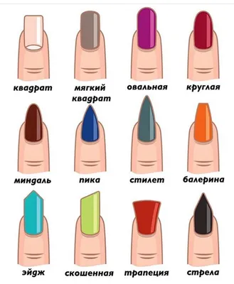 Выбери свою форму ногтей (пост-продолжение) | ВКонтакте