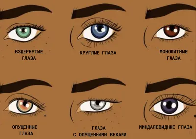 Как правильно определить форму глаз? Какие бывают типы глаз и как подобрать  под них идеальный макияж: Внешний вид: Ценности: Lenta.ru