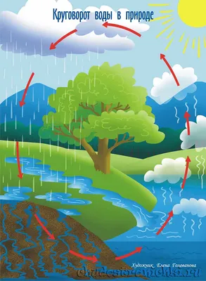 раскраска круговорот воды в природе простой вариант — Яндекс: нашлось 7 млн  результатов | Круговорот воды в природе, География, Раскраски