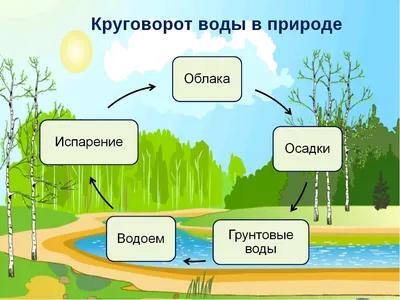 Плакат — Круговорот воды в природе | Чудесные Странички