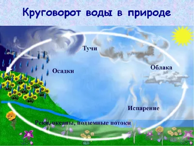 зарисовать схему круговорота воды в природе - Школьные Знания.com