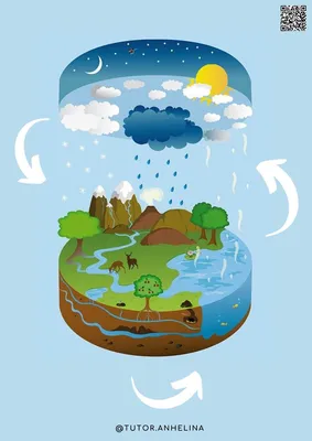 Картинки круговорот воды в природе детская (68 фото) » Картинки и статусы  про окружающий мир вокруг