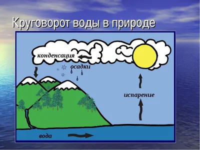 Как происходит круговорот воды в природе?