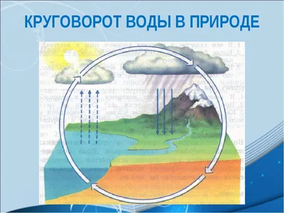 Делаем модель круговорота воды в природе в банке! Опыт для детей - tavika.ru