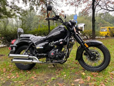 Продажа транспортного средства: Мотоцикл круизер Honda Rebel 250 📢