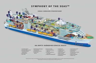 Круизный лайнер Symphony of the Seas от Royal Caribbean International: цены  на круизы, описание, характеристики, маршруты, план палуб, фото кают  корабля | Центр круизов