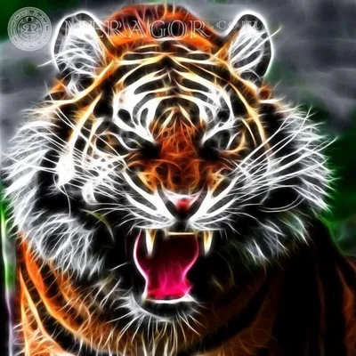 Раскраски крутые тигра (44 фото) » Картинки, раскраски и трафареты для всех  - Klev.CLUB