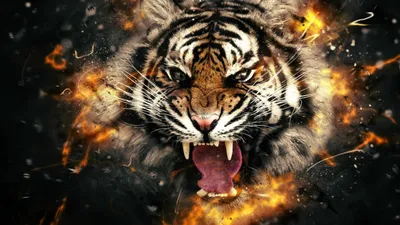 Крутой белый тигр , на тёмном …» — создано в Шедевруме