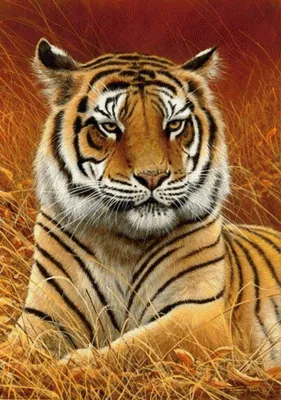 детские рисунки тигра крутые обои животных - TenStickers