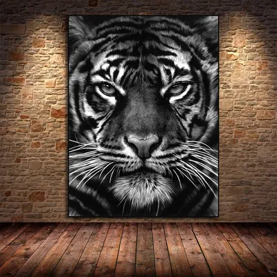 крутой тигр иллюстрация штока. иллюстрации насчитывающей парень - 215901162