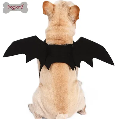 Крылья летучей мыши для котов и собак на липучках - купить с доставкой по  выгодным ценам в интернет-магазине OZON (410687890)