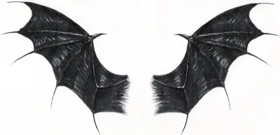 Крылья летучей мыши рисунок - 66 фото