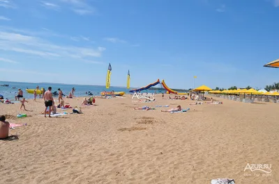 Роспотребнадзор запретил купание в море в нескольких районах Крыма -  Российская газета