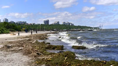 Фото с видом на Черное море с мыса Фиолент (Крым, Севастополь)