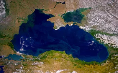 Черное море на побережье Анапы стало красным из-за шторма и водорослей