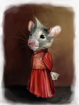 Животные, Крыса: описания животных, приколы, фото и видео — Горячее,  страница 16 | Пикабу