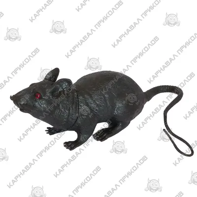 Прикольные подарки: Крыса металлическая в интернет-магазине Ярмарка  Мастеров по цене 8000 ₽ – KBSGORU | Прикольные подарки, Оренбург - доставка  по России