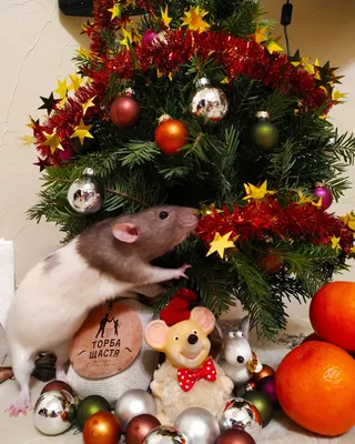 Новогодняя крыса черного цвета по …» — создано в Шедевруме