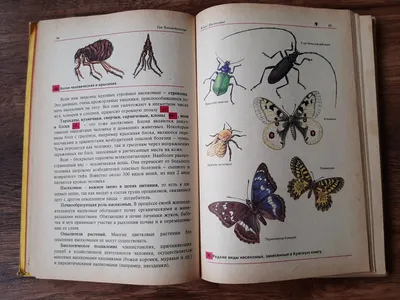 Инсектицидное средство от насекомых Дельтрин 500 мл. - купить в Москве,  цены на Мегамаркет