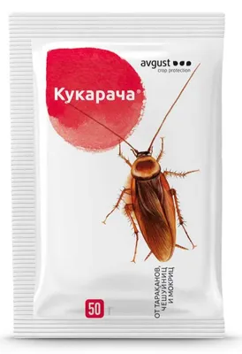 Средство от всех видов насекомых и клещей (концентрат) Циперметрин 25, 100  мл, флакон ПЭТ в Бишкеке купить по ☝доступной цене в Кыргызстане ▶️ max.kg