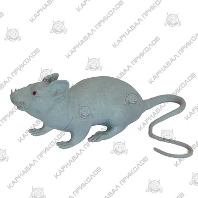 Приколы: Крыса, Мышь - Авторская игрушка:) в интернет-магазине Ярмарка  Мастеров по цене 2050 ₽ – JZOWQRU | Прикольные подарки, Омск - доставка по  России | Игрушки, Тряпичные куклы, Мышь
