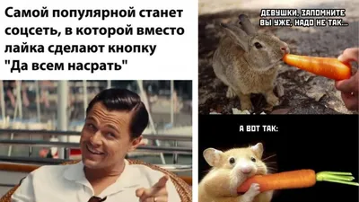 ЧёТкИе ПрИкОлЫ - ЧёТкИе ПрИкОлЫ added a new photo.