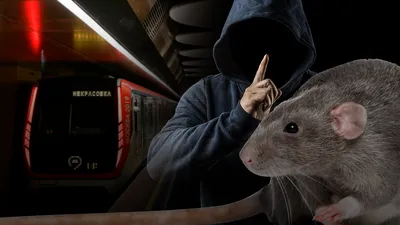 Вот такие вот крысы удивительных размеров водятся в московском метро -  ЯПлакалъ