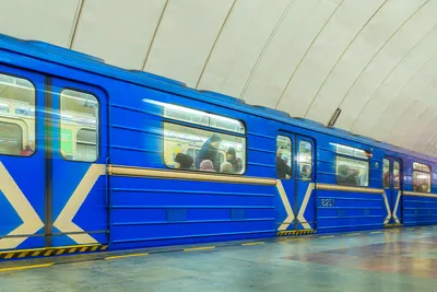 Огромные крысы в московском метро - не миф | Пикабу