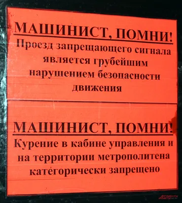 Крысы на Каменноостровском проспекте, куда обращаться, кто виноват, из-за  чего появились грызуны у помоек в Петербурге - 16 июня 2023 - Фонтанка.Ру