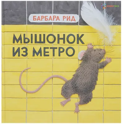Роспотребнадзор потребовал уничтожить всех крыс Волгограда - 25 августа  2023 - v1.ru