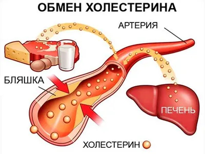 Врач Зебелян назвала внешние признаки, указывающие на симптом заболевания  сердца | Новости России и мира | Дзен