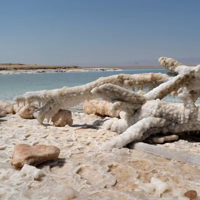 Какого цвета вода в Мёртвом море?