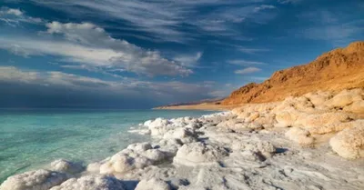 Там, где оживает Мёртвое море - LookAtIsrael.com - Увидеть Израиль и не  только