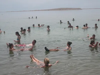Отдых на Мёртвом море в Израиле | Astfork