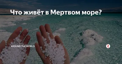 Мертвое море