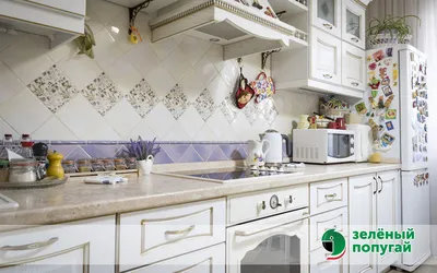 Кухни Зеленый попугай купить в Санкт-Петербурге ☎ Каталог с ценами от  производителя