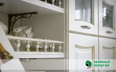 Зеленый Попугай - салон мебели - кухни на заказ и шкафы-купе на заказ в  Краснодаре
