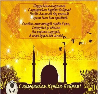Ак Барс» поздравляет с праздником Курбан-байрам! | ХК «Ак Барс»