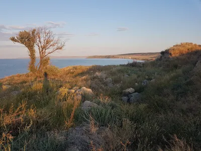 Курортное на Азовском море: где снять хорошее жилье? | Жизнь в Крыму с  Анной Карпенко | Дзен