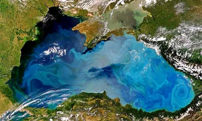 Лучшие пляжи Черного моря в России: краткий обзор | Блог ТВИЛ