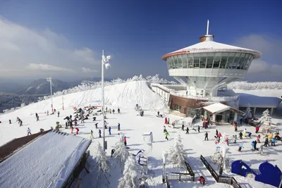 Топ-5 горнолыжных курортов Южной Кореи | РБК Стиль