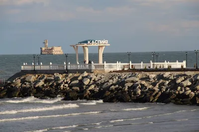 На побережье Каспийского моря нашли уже 1700 тюленей - РИА Новости,  04.12.2022