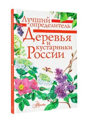 Цветущие и декоративнолистные кустарники - сад декоративный весь год. |  Цветы