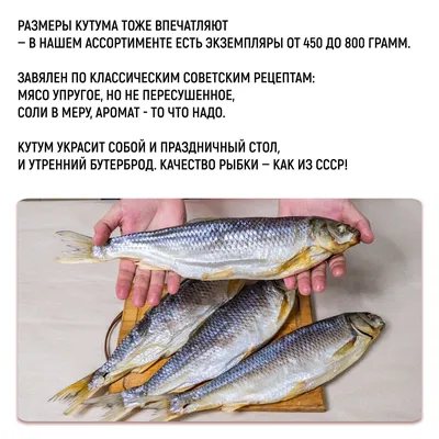 Рыба сушёная Кутум – купить в Москве, цена 1 800 руб., продано 16 февраля  2020 – Продукты питания