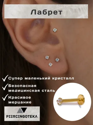 Niche Brand Jewellery Пирсинг лабрет титан змея в хеликс трагус