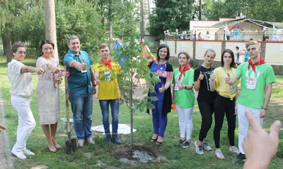 Брянская улица : Брянские оздоровительные лагеря предложили сделать  круглогодичными