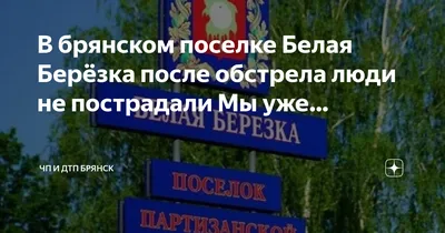 Брянский блогер Чесалин вспомнил о мистике в лагере «Берёзка»